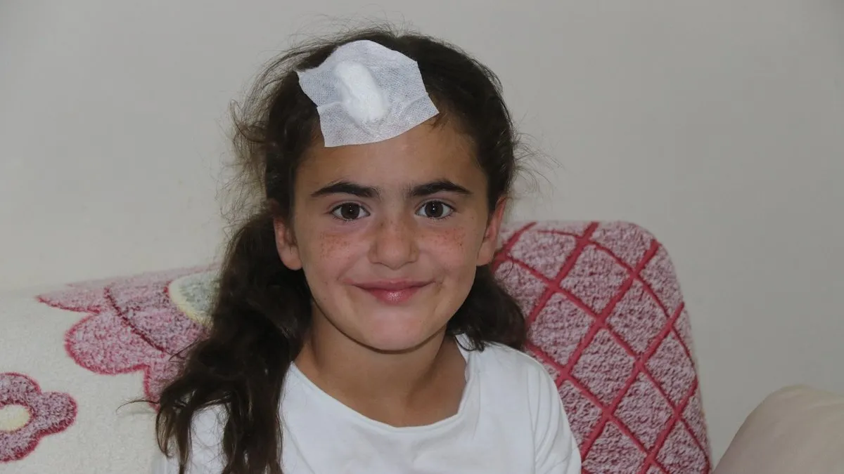 Başkan Erdoğan küçük Ada’ya ışık olacak